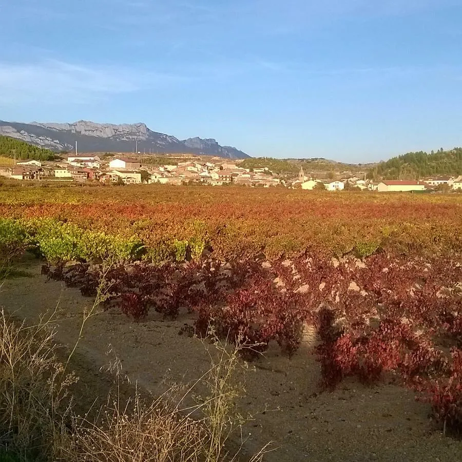 Larrain Etxea Hostal Banos de Ebro